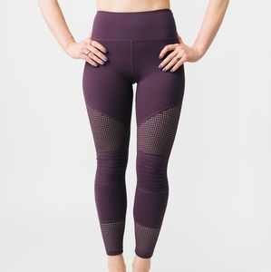 Plum Moto Leggings